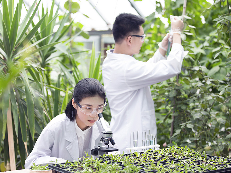 植物保護儀器